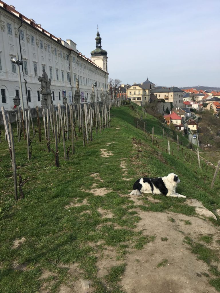Praga01-f01
