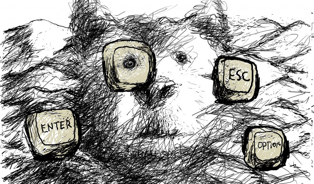 Hoje vou tentar elencar alguns novos hábitos, bons e maus, que se instalaram em meu exercício diário de sobrevivência , neste já tão longo tempo “proibida” de ter contato com o mundo real. Fico de 5 a 8 horas em frente da tela ouvindo...